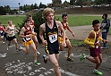 2010NCSXC BD3-038